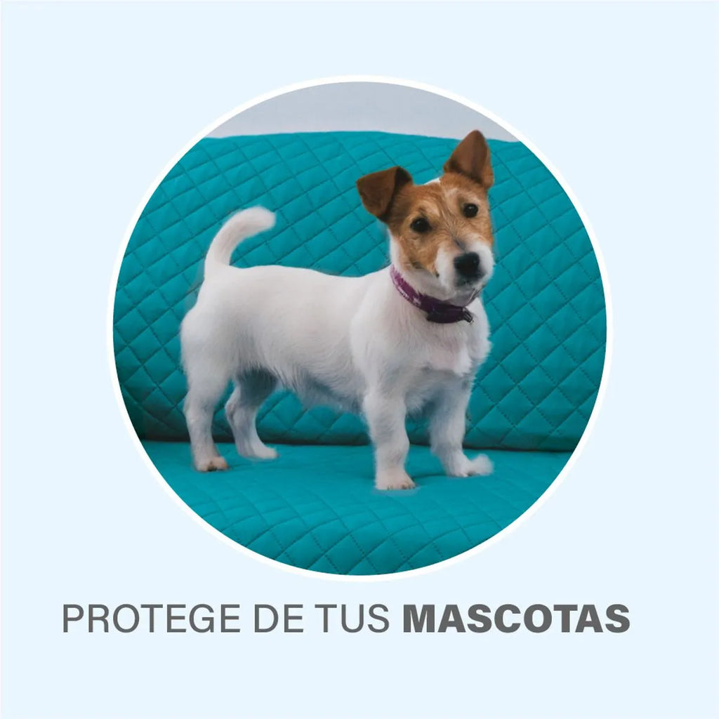 Protector de Sala Neo 2 vistas Esmeralda