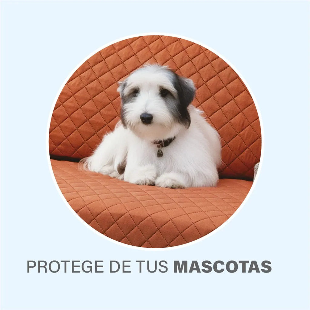 Protector de Sala Neo 2 vistas Shedron