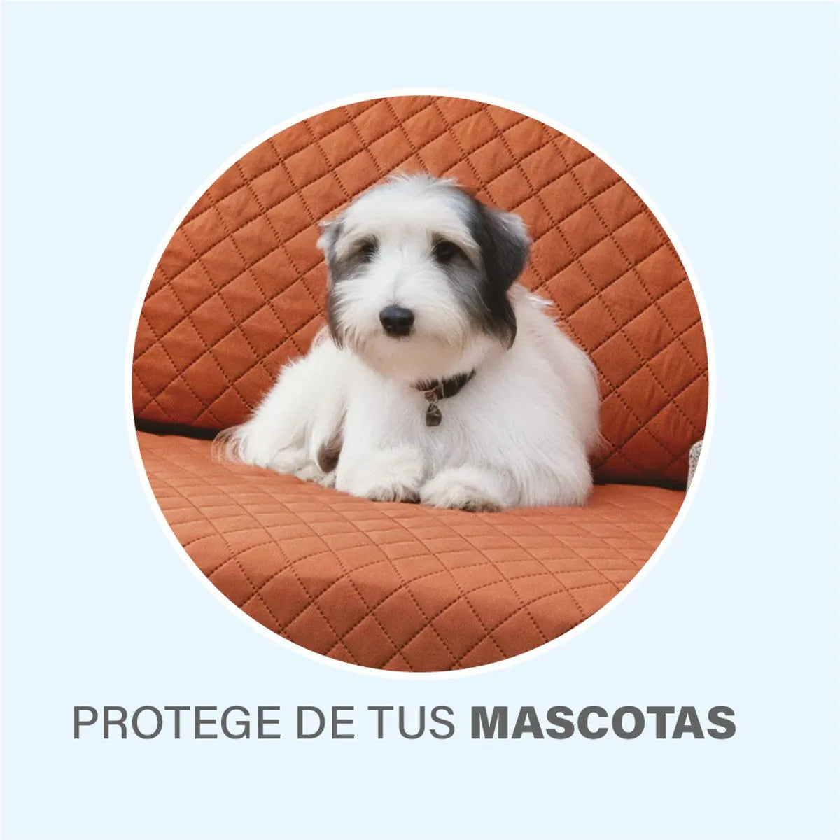 Protector de Sala Neo 2 vistas Shedron
